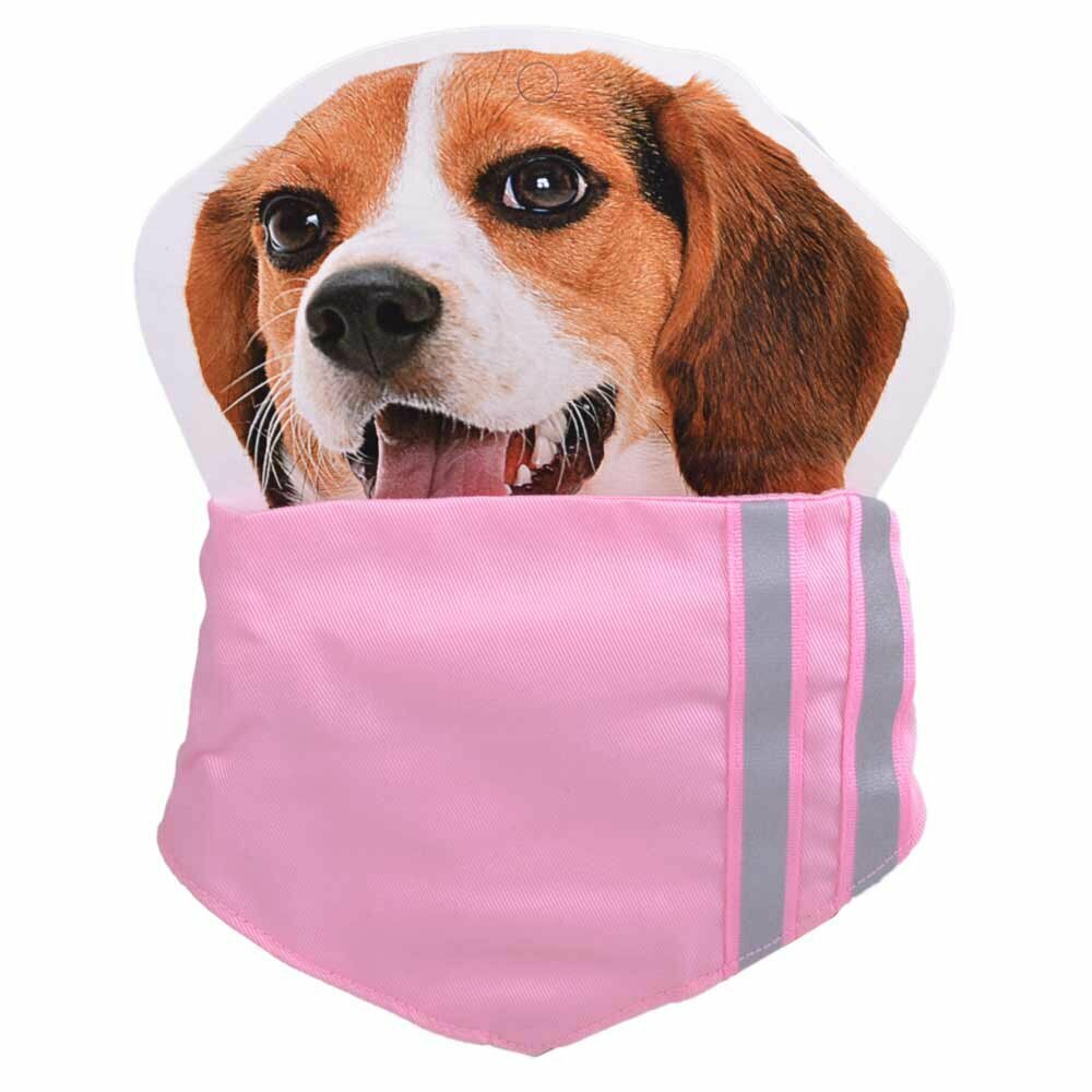 Pink collar with neckerchief L