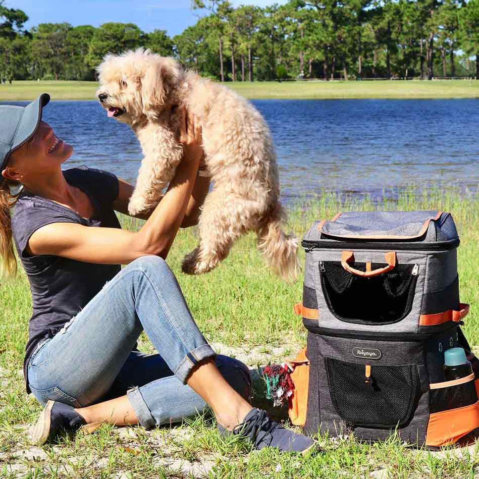 With this dog rucksack also bigger dogs can be transported