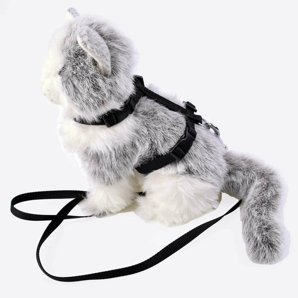 Cat harness with leash black by GogiPet ®