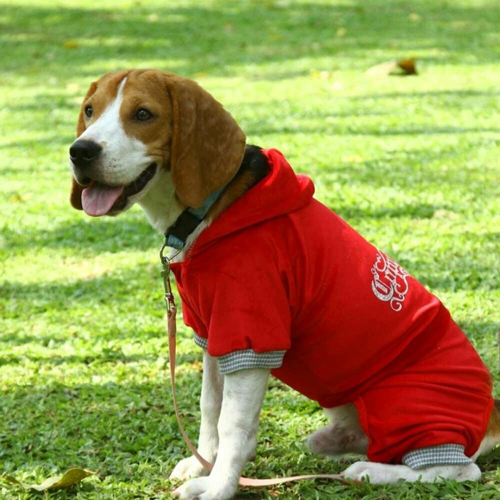red sports suit for dogs