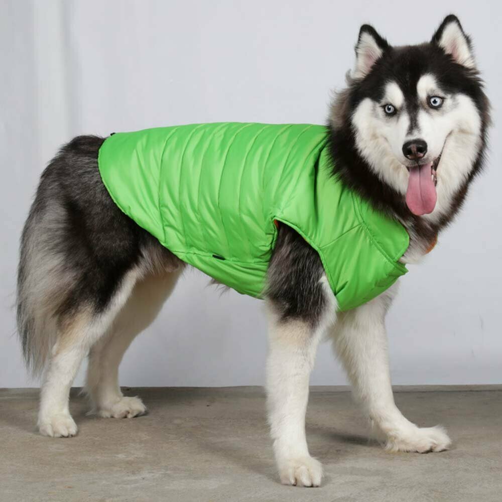 Warm green dog jacket - Big Dog