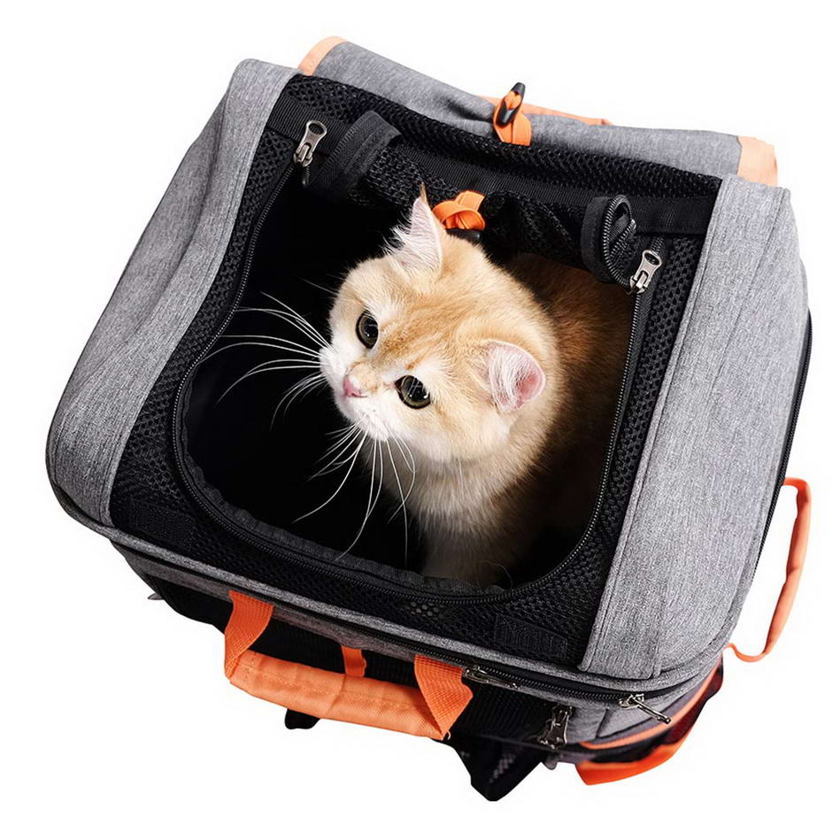 Pet backpack for one cat or two 