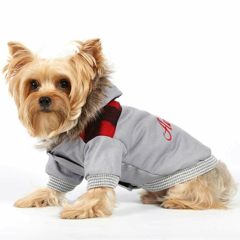 Warm dog jacket grey DoggyDolly Awesome