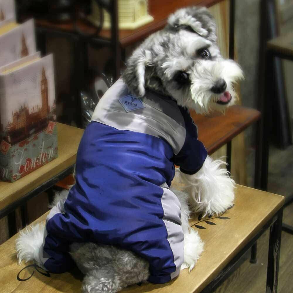 Dogs Anorak blue - extra warm dog clothes