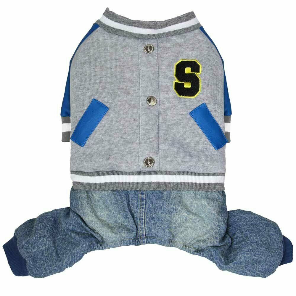 Sporty grey overall for dogs - hot dog clothes