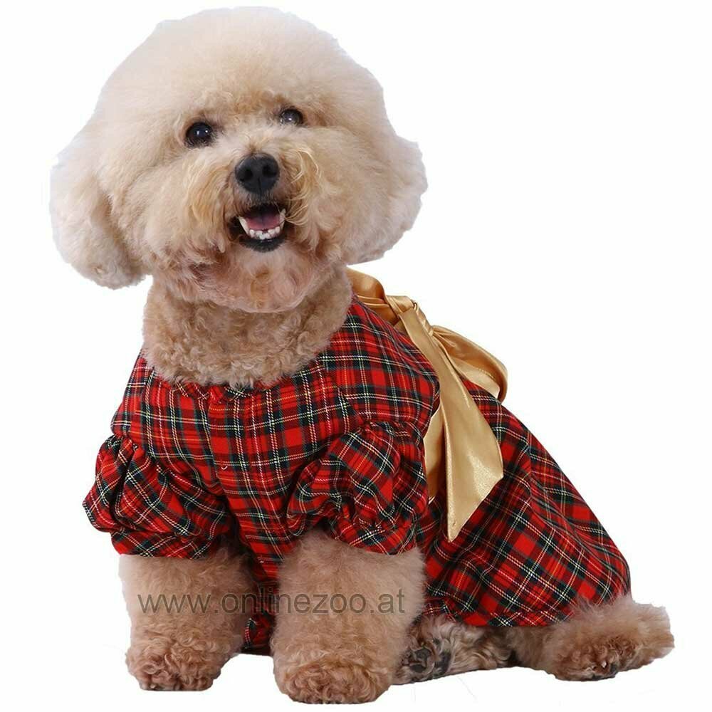 Christmas apparel for dog - elegant evening dress of DoggyDolly ST010