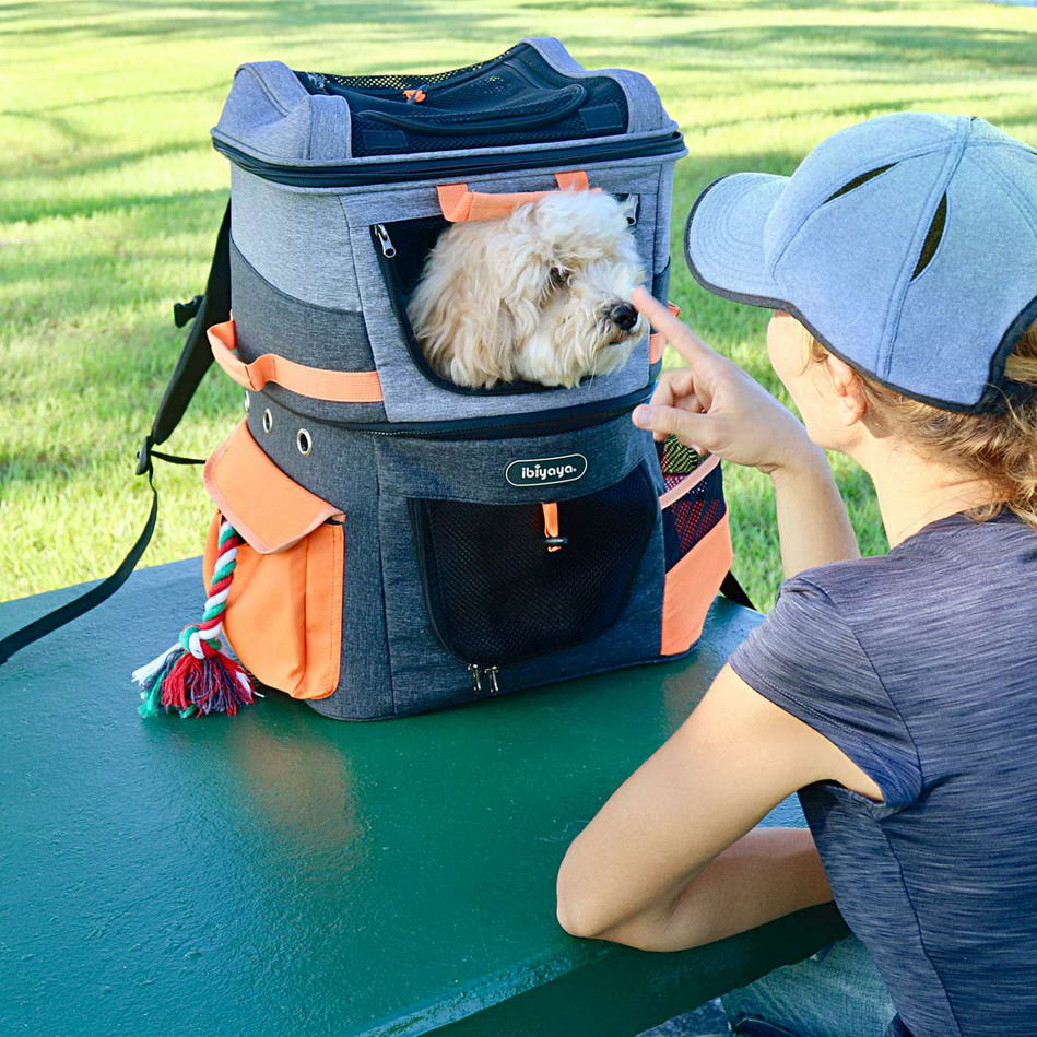Cool dog backpack for trekking tours