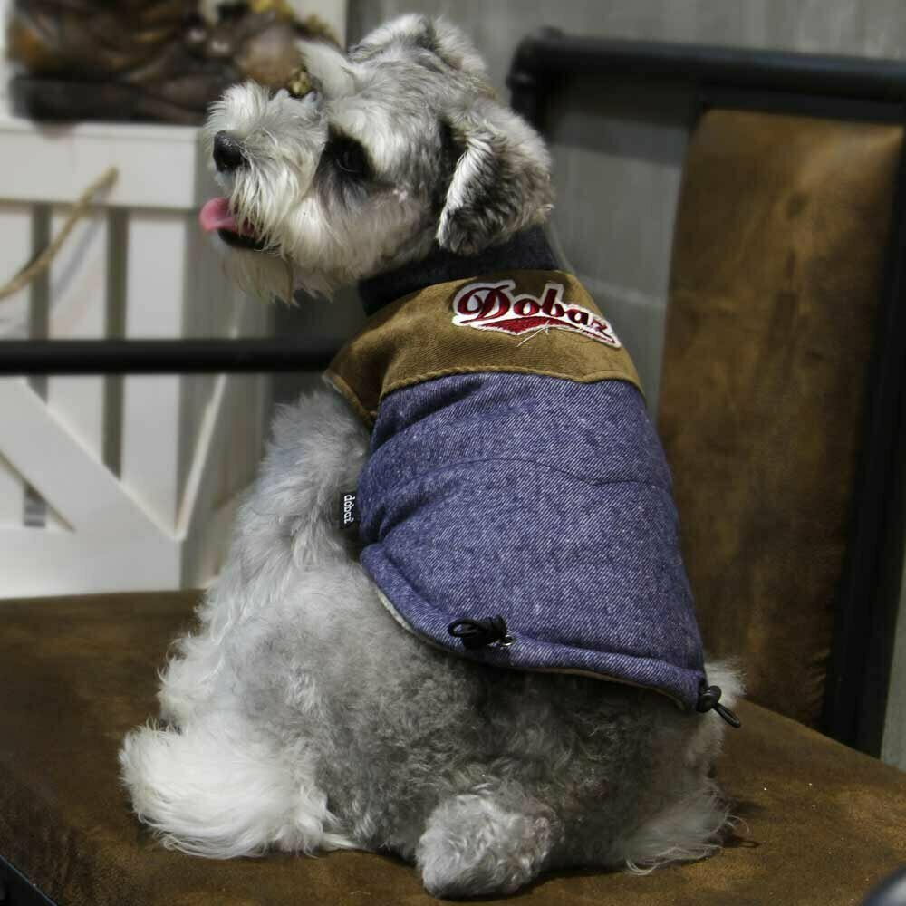 Warm dog clothes for the winter - blue dog jacket