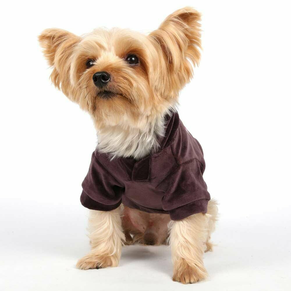 Warm dog pullover for winter