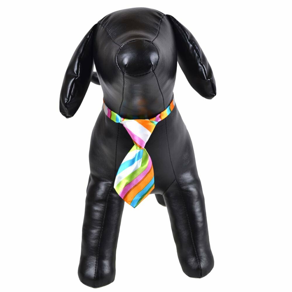 Necktie for dogs multicolored striped