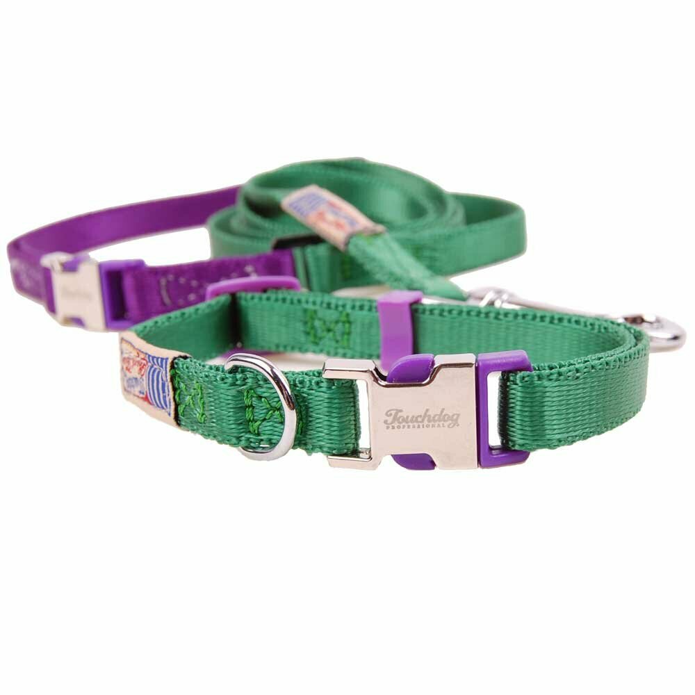 Premium dog collar with free dog leash green S