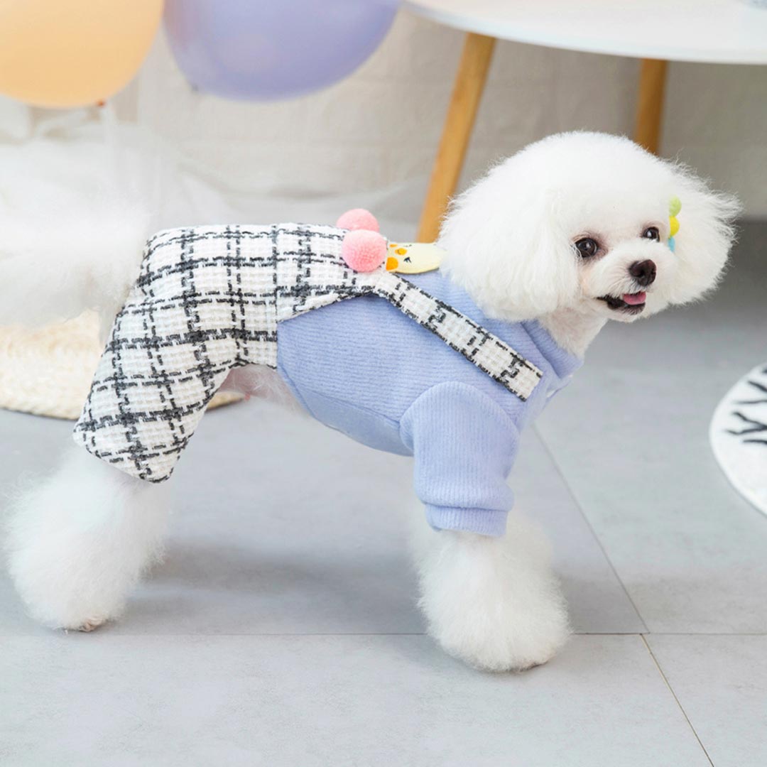 Blue Chick Dog Coat - Warm Dog Clothing for Small Dogs