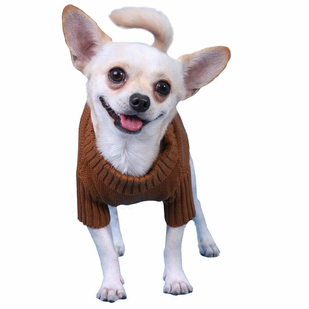 Brown Sweater knitting patterns for dogs