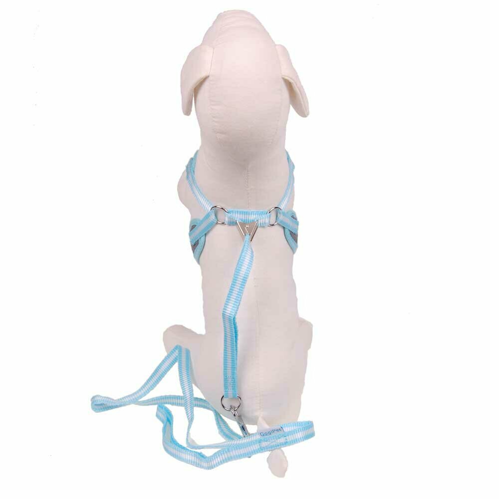 Soft Harness for dogs in light blue with free dog leash from GogiPet ®