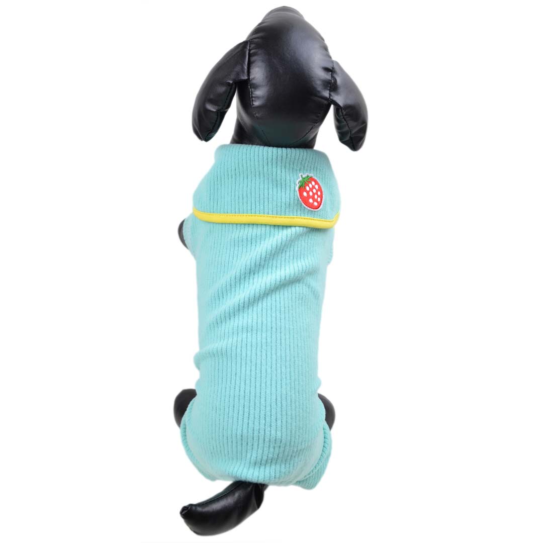 Turquoise leggings for dogs, house suit, dog pyjamas, dog jogger for the cold season