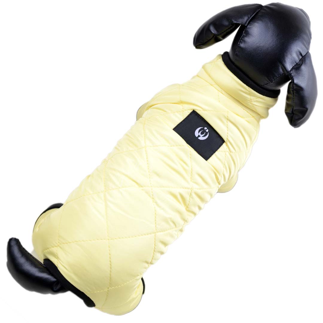 Snowsuit for dogs in bright yellow