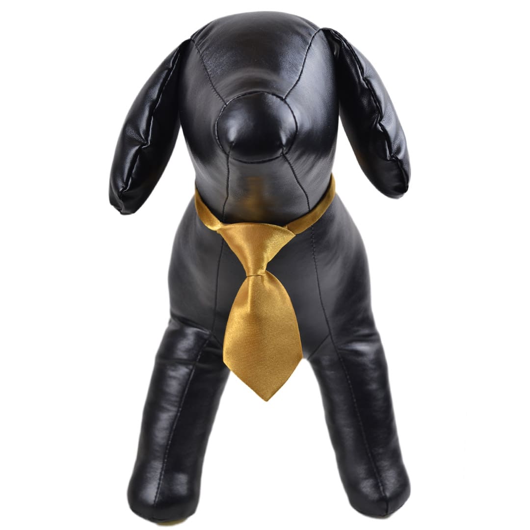 Golden Yellow Tie for Dogs