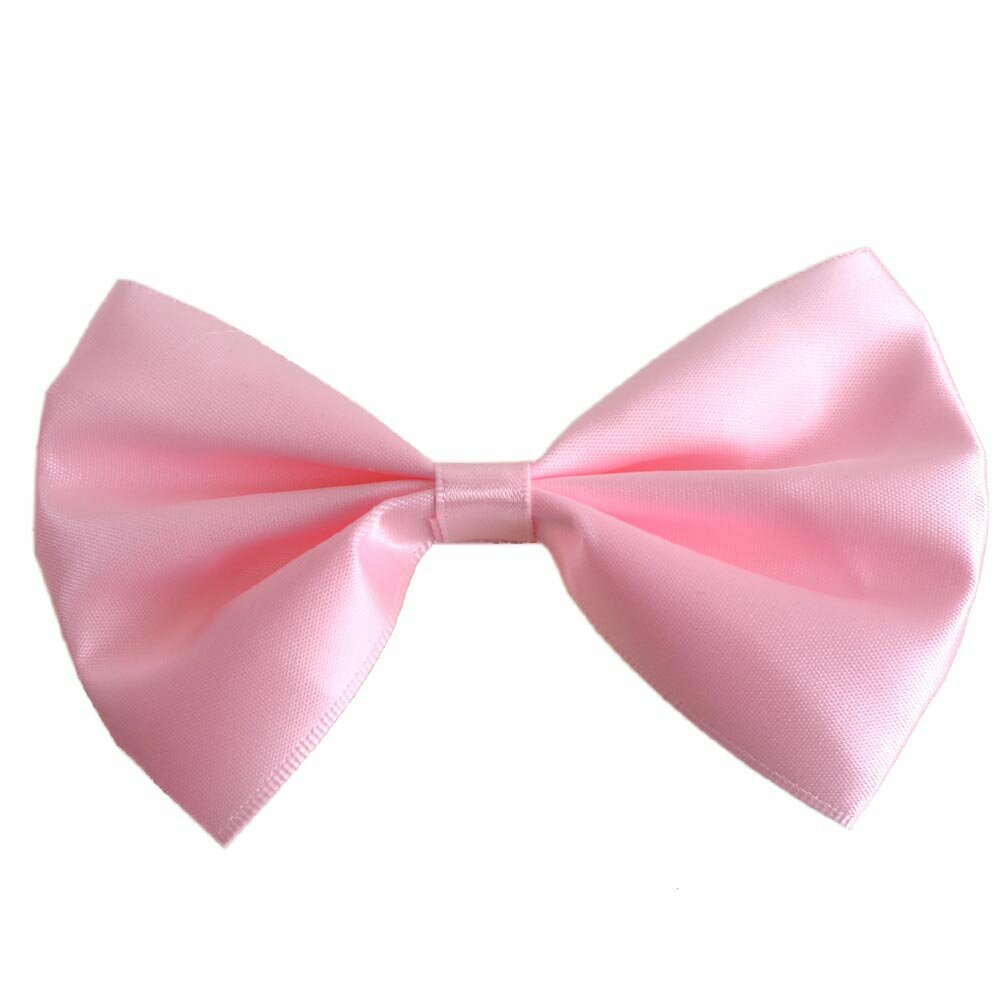 Gentle pink bow tie for dogs by GogiPet®