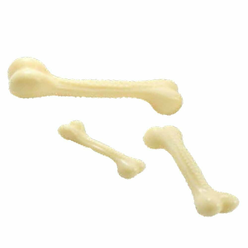 Nylon bone - the exra robust dog toy