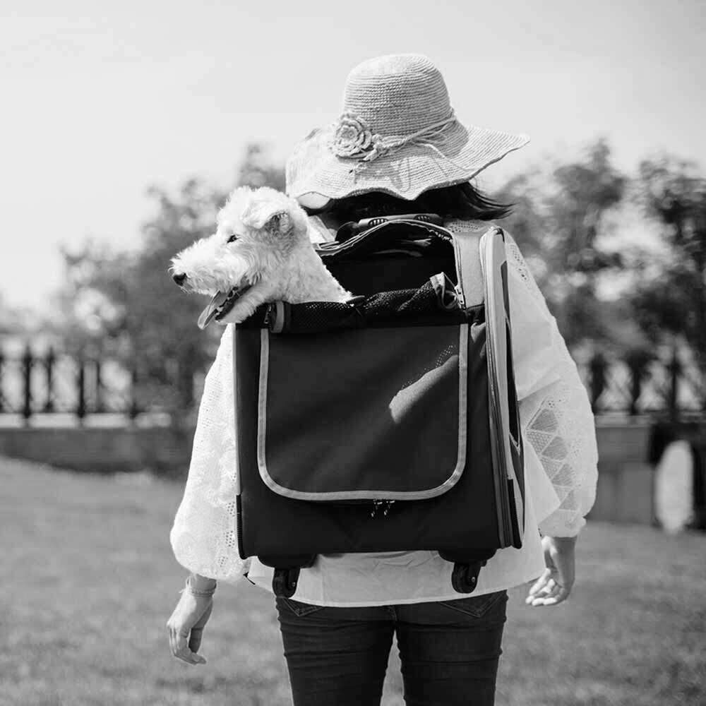 dog backpack bag for travel with dog trolley function