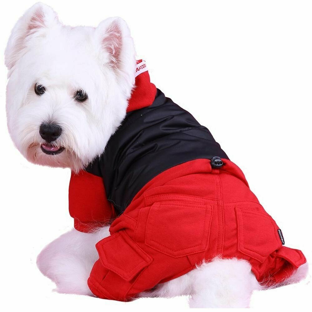 dog coat with 4 legs of DoggyDolly