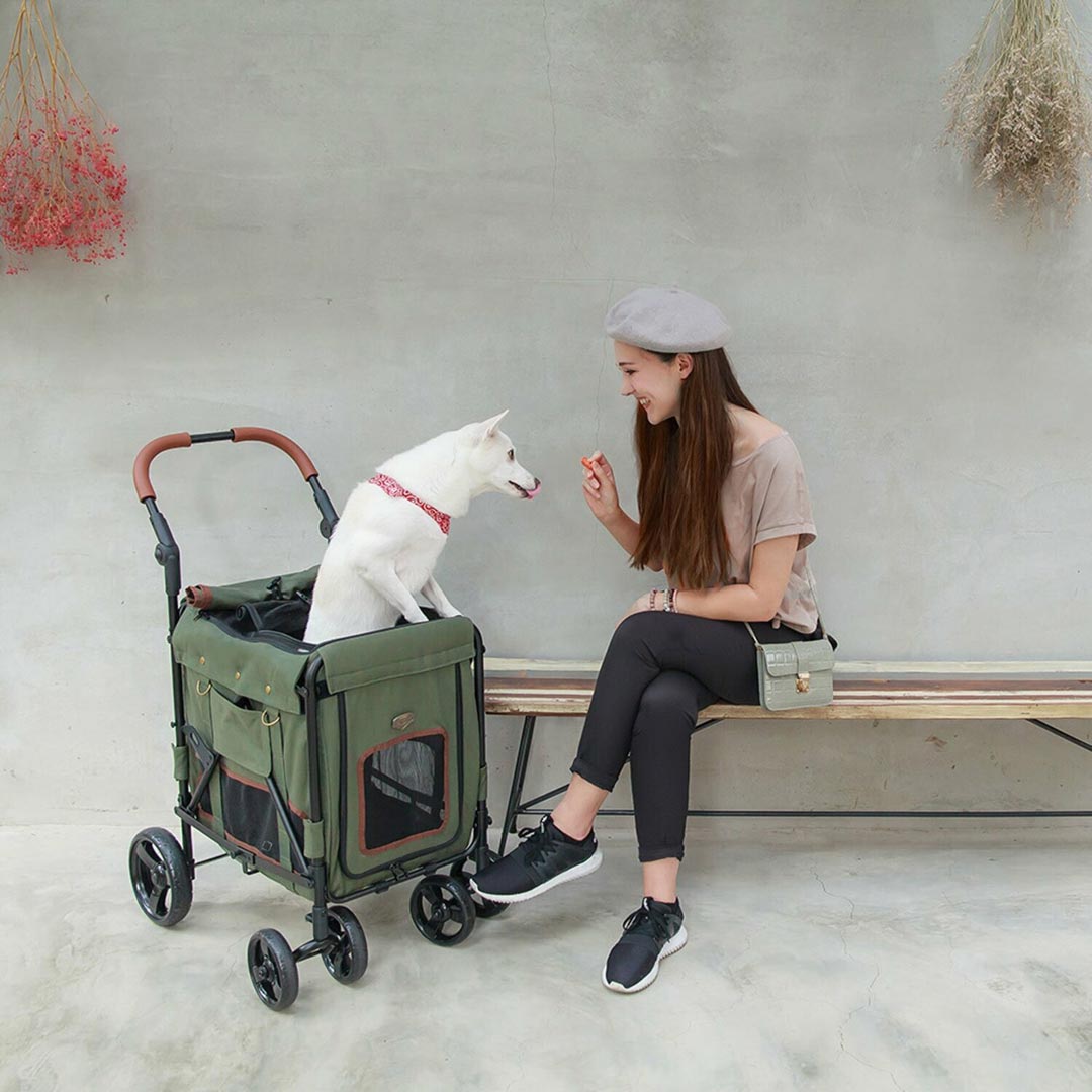 Dog stroller for the veterinarian, dog grooming or for the city stroll