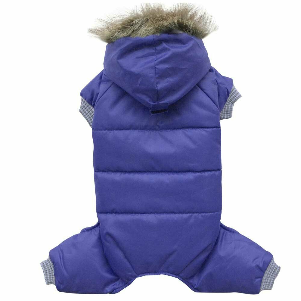 Blue snowsuit for dogs against snow, ice and cold