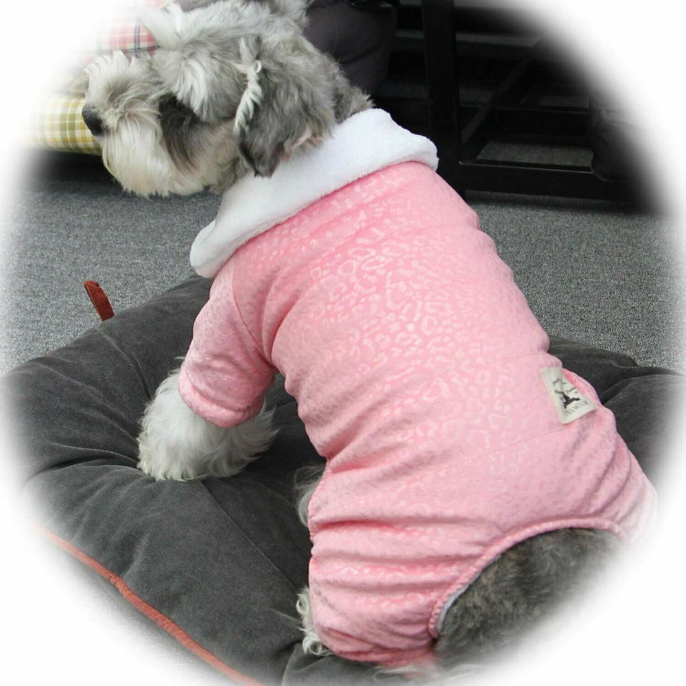 Beautiful dog robe by GogiPet
