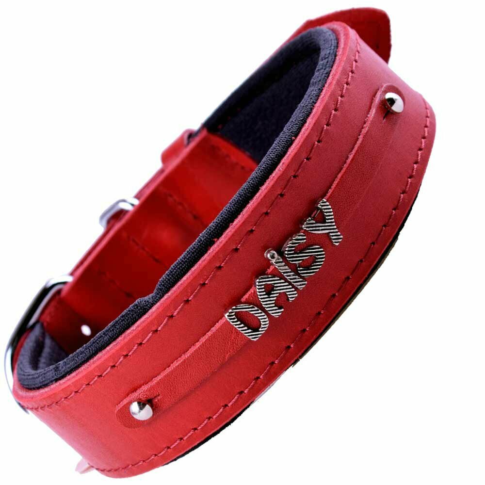 Red dog collar for letters and numbers