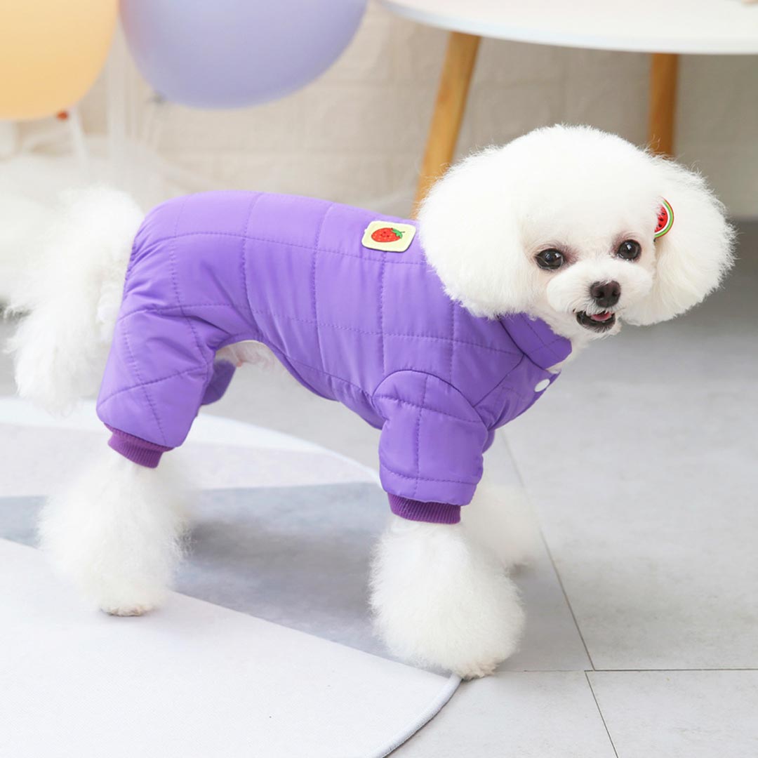 Purple Strawberries Dog Coat with Warm Polar Fleece Lining
