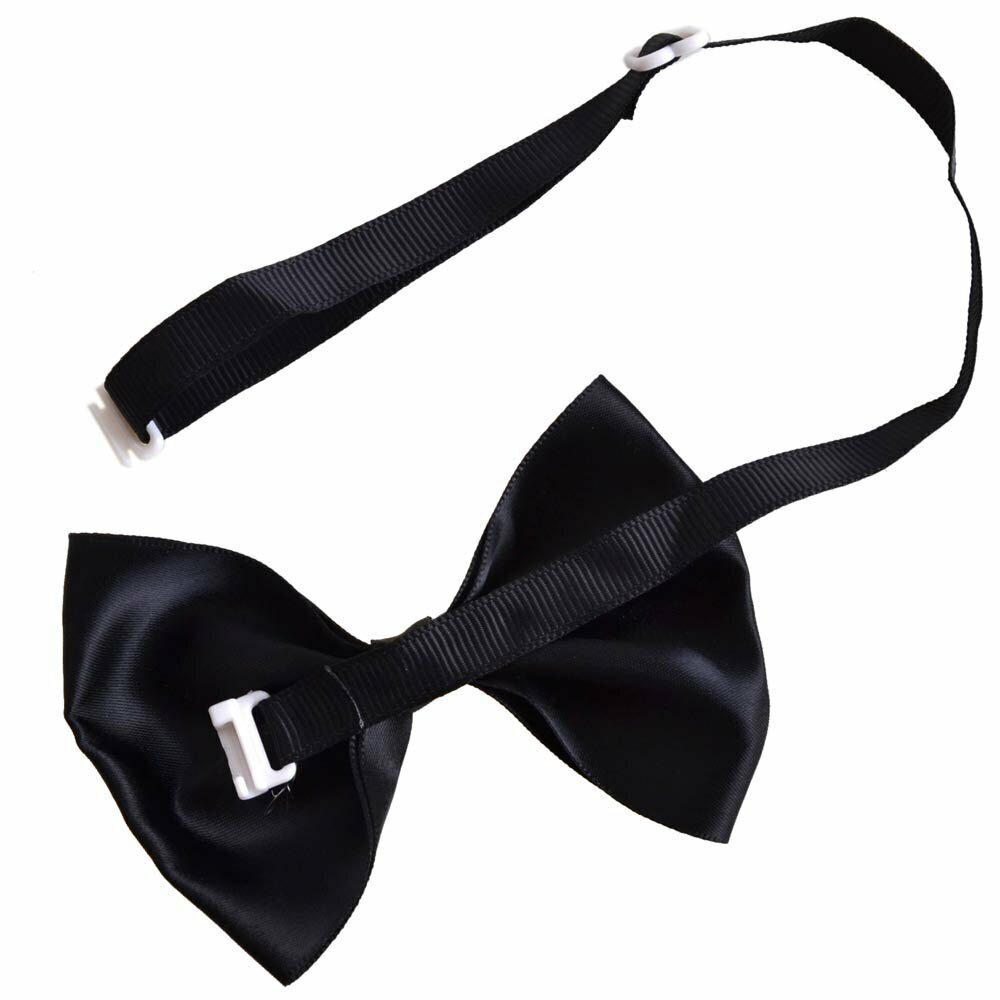 Black dog bow tie with quick release