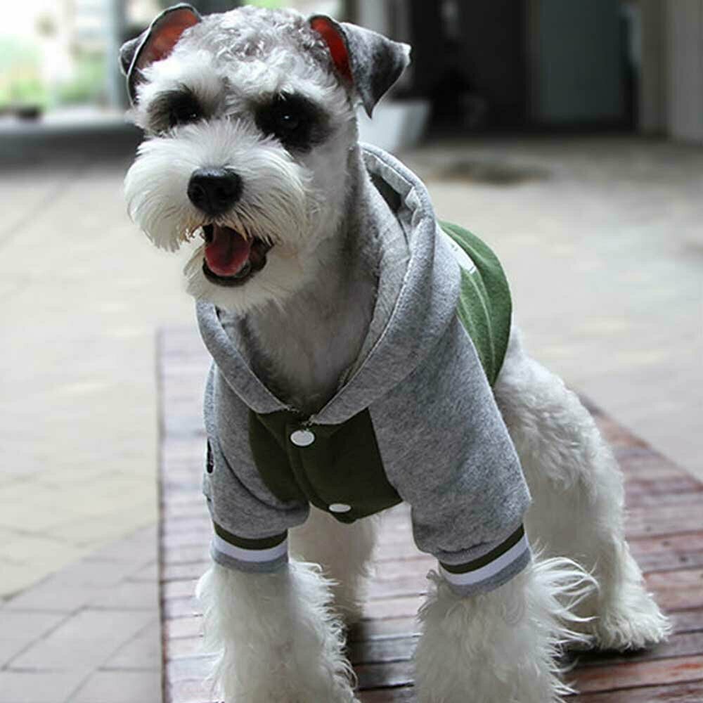 Green sports jacket for dogs