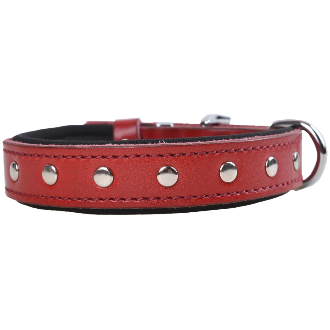 Leather dog collar red with flat rivets