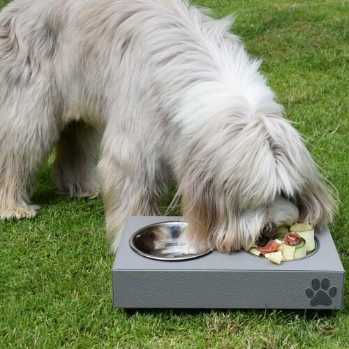 Feed bowls and water bowls for dogs