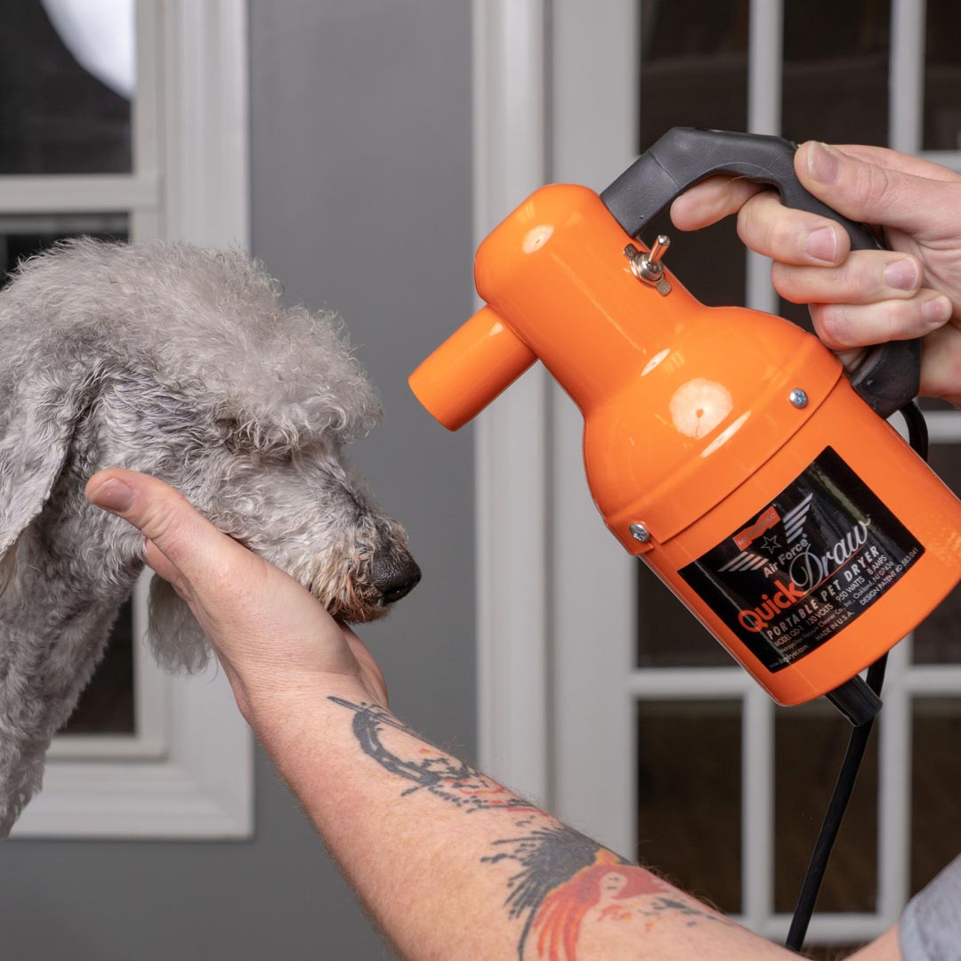 Small handy, professional dog dryer from Metro