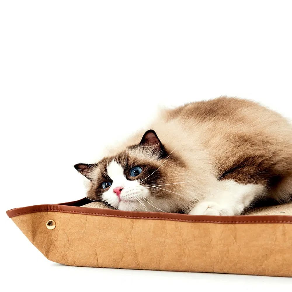 Cat scratching bed with cat scratching board