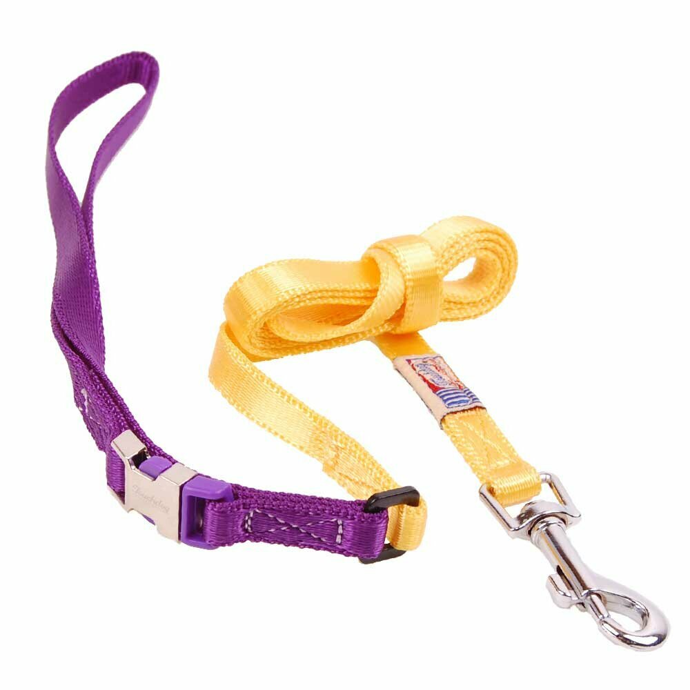 Premium nylon fabric dog collar with clip closure yellow