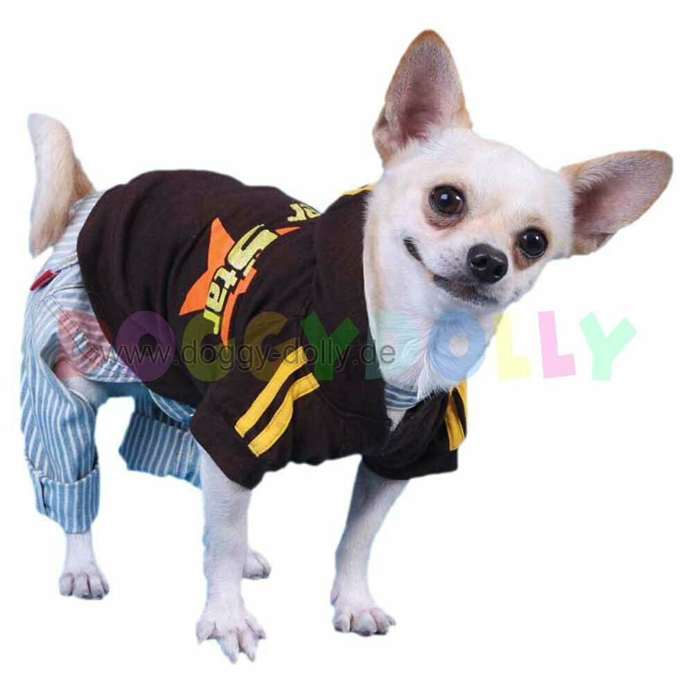 Hood sweater for dogs super star brown of DoggyDolly W030 
