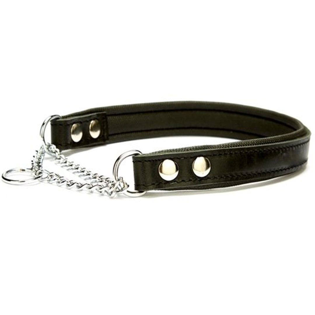 Train dog collars from GogiPet - Black train collar for dogs