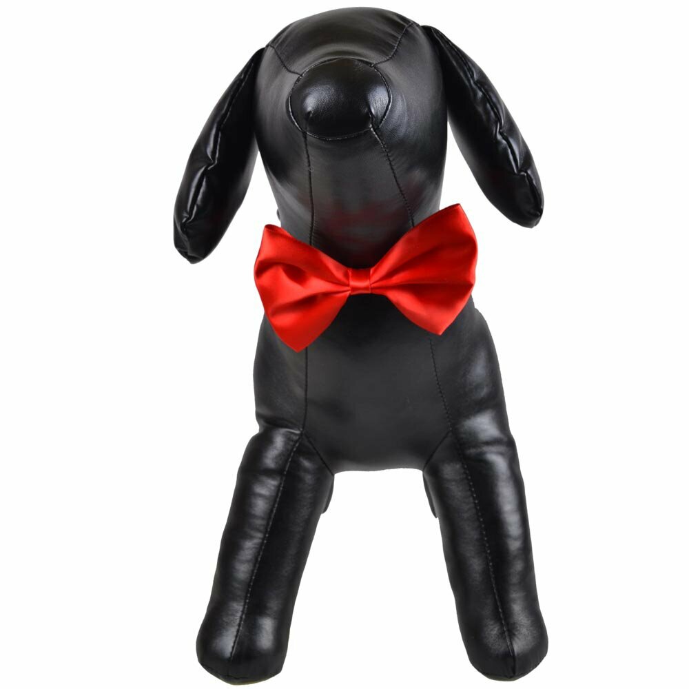 Red bow tie for dogs as fast binder
