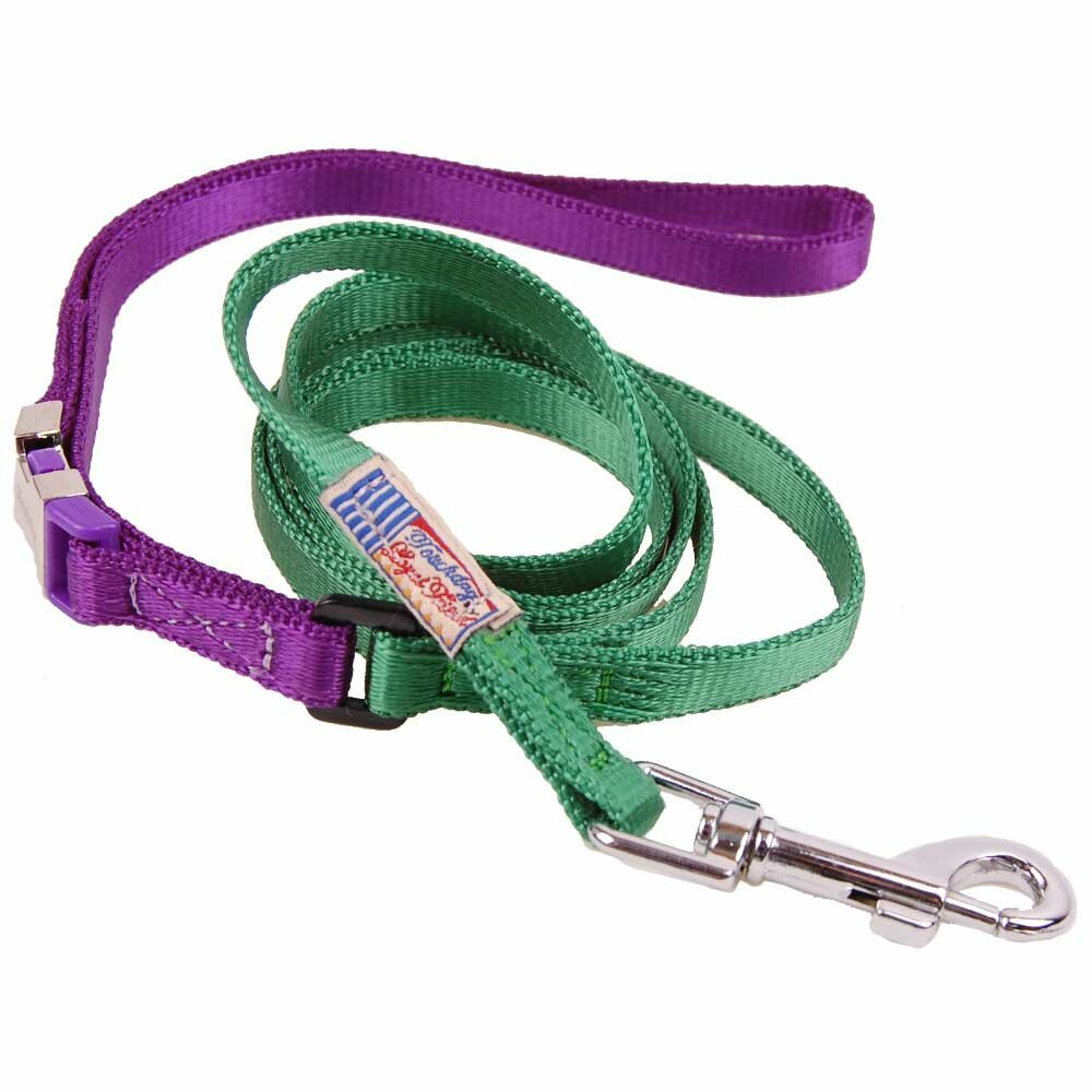 Dark green dog leash with purple wrist strap and collar set  