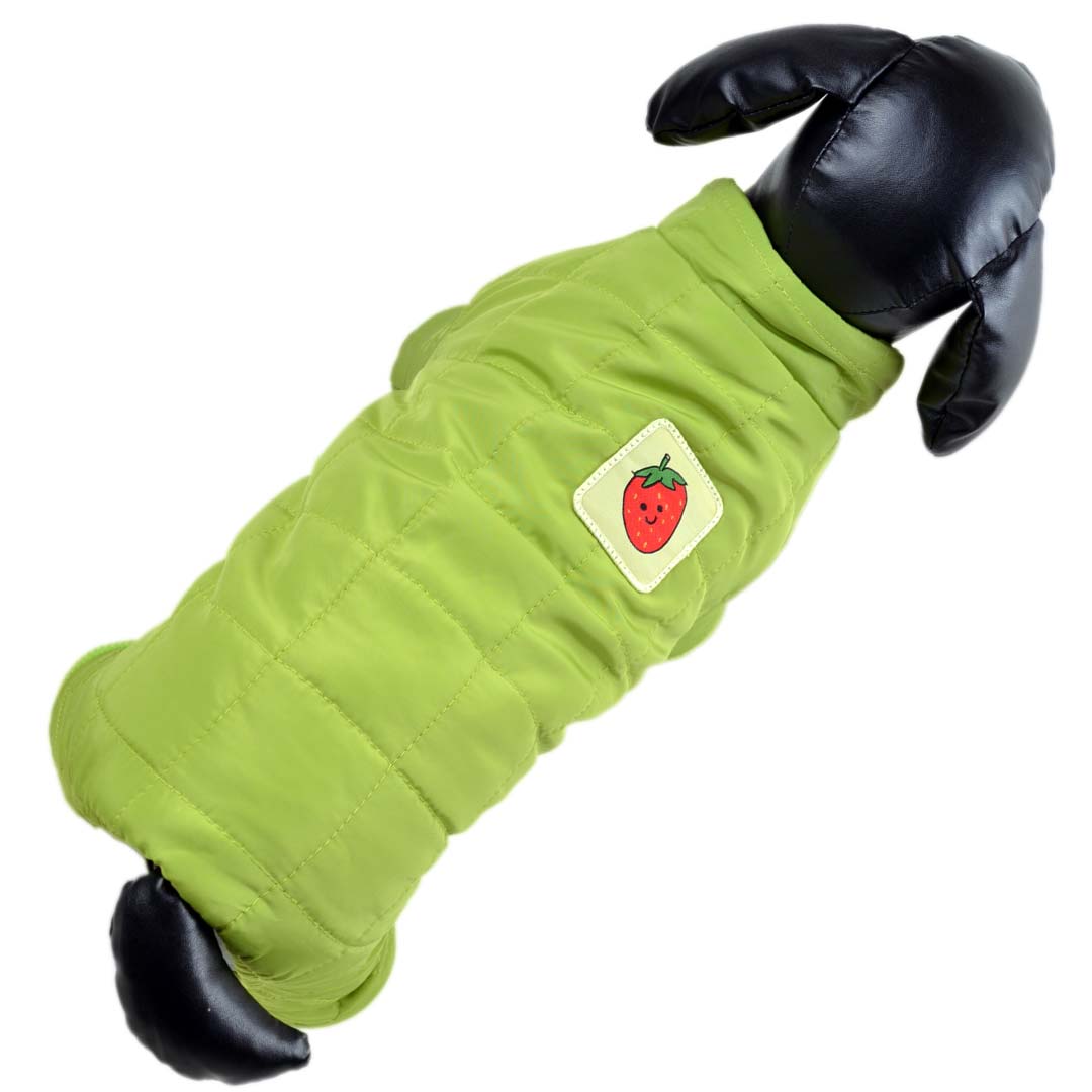 warm dog coat green with strawberry on the shoulder