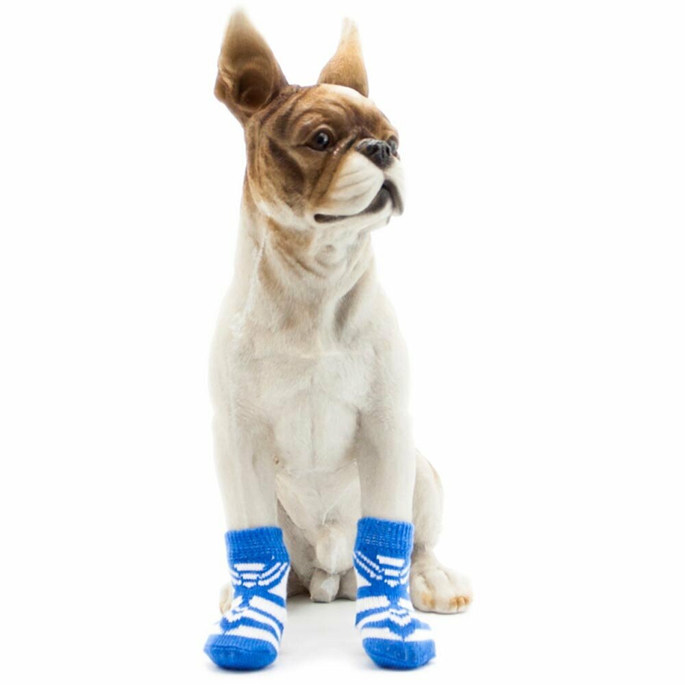 Dog socks light blue tie