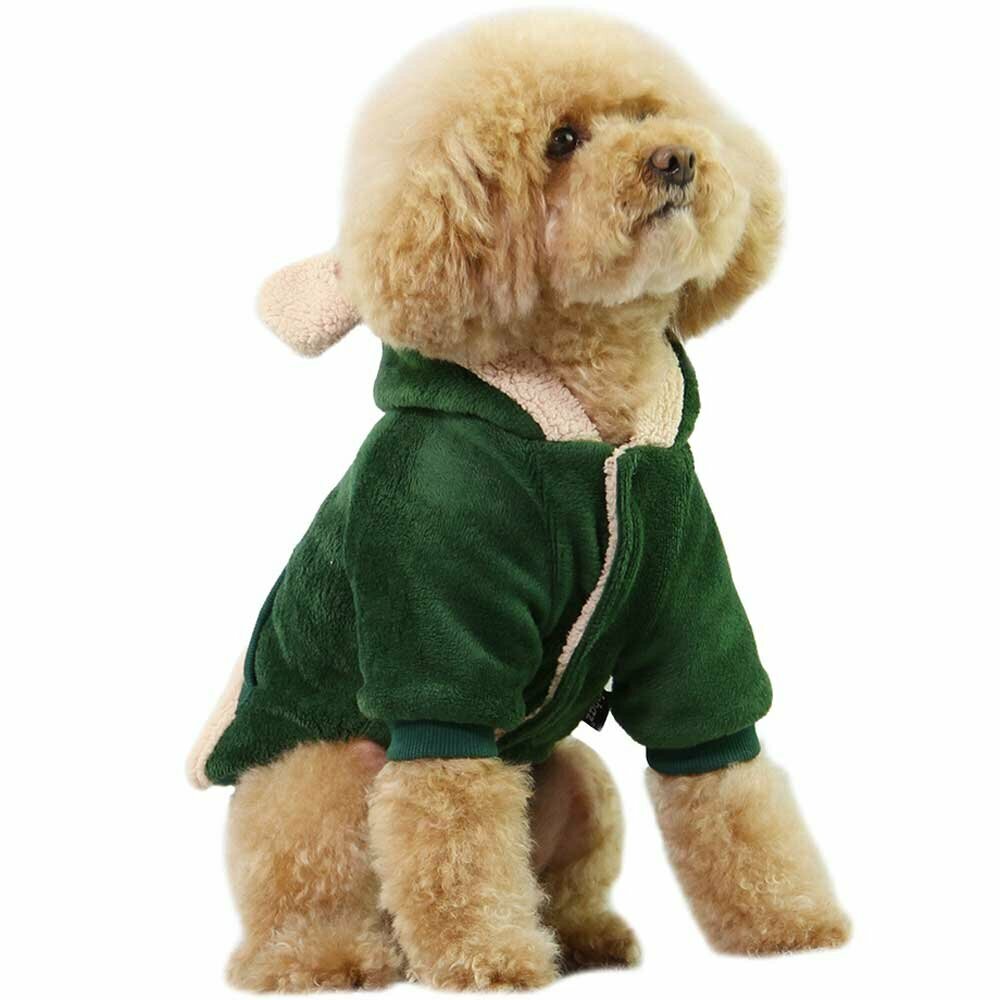 Green Bear dog coat for dogs - dog attiere warm clothing from GogiPet Cotton