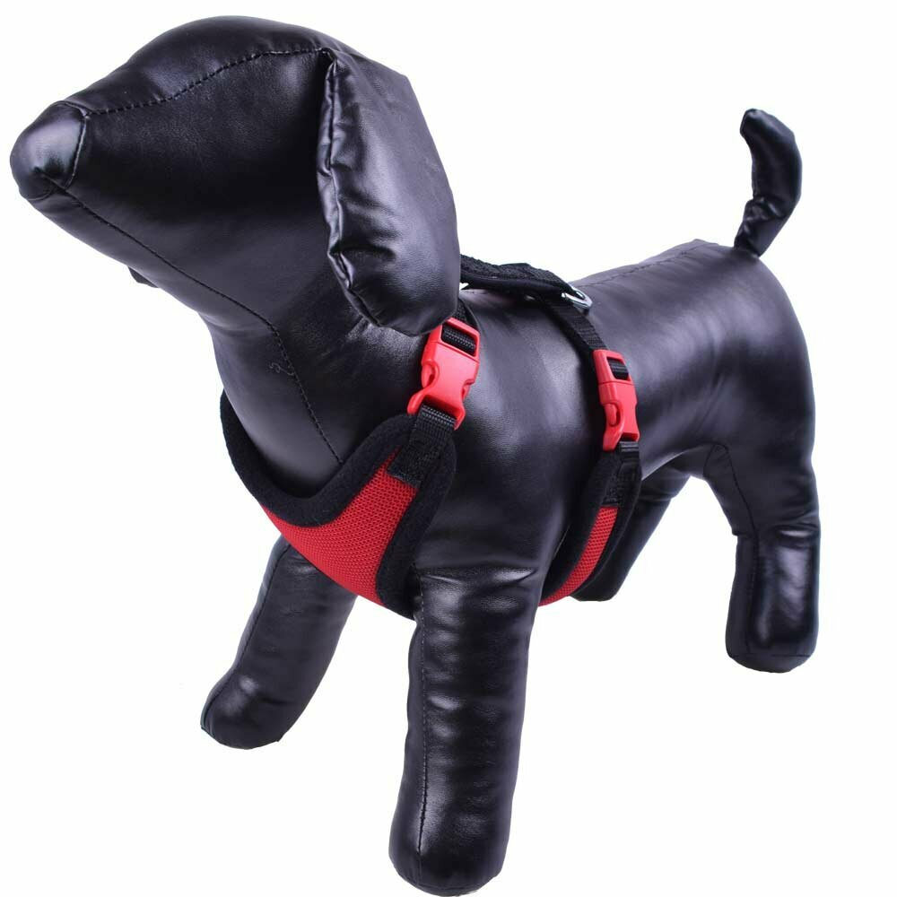 Dog harness from GogiPet ®