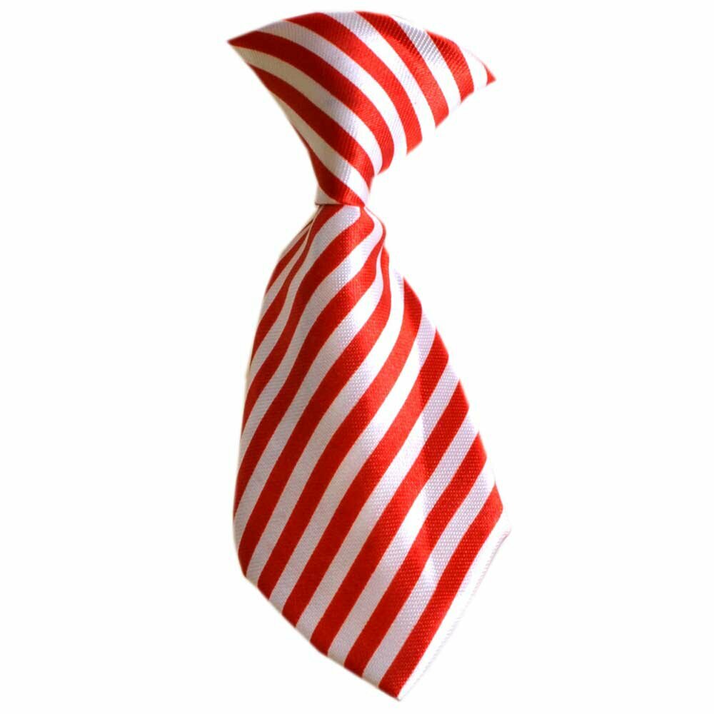 Dog tie red striped