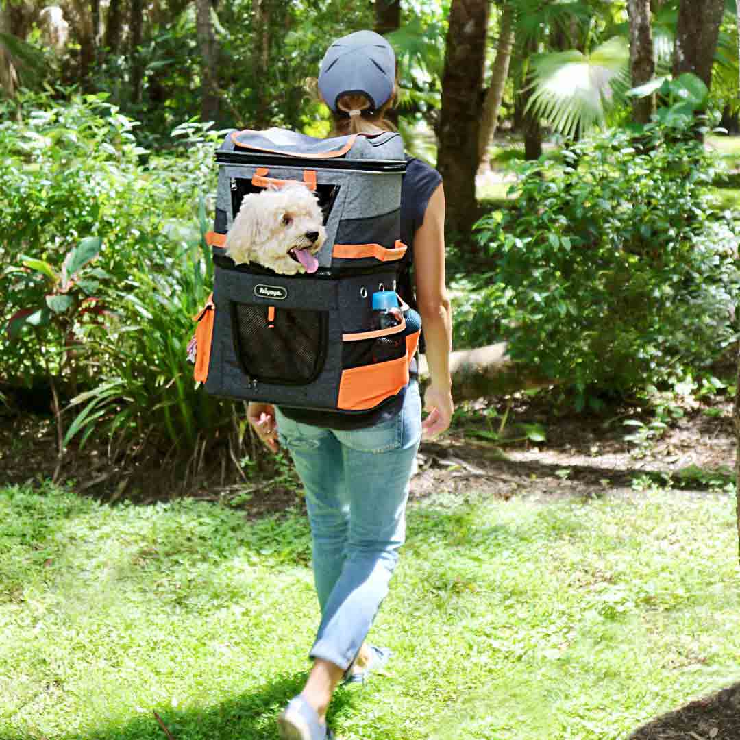 Trekking backpack for dogs