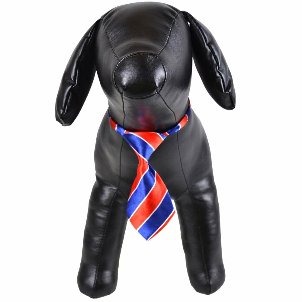 Necktie for dogs blue, red striped