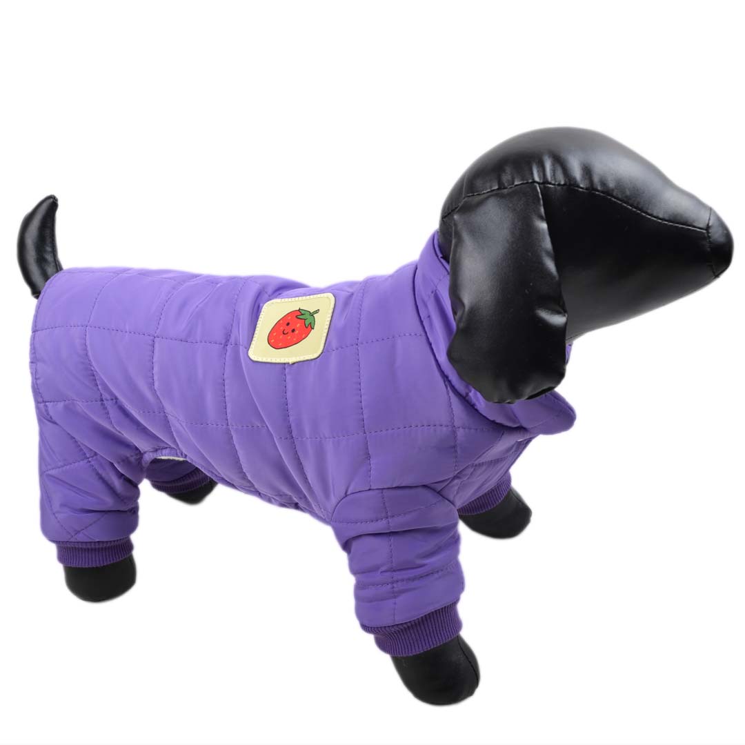 Warm dog robe - purple snowsuit for dogs