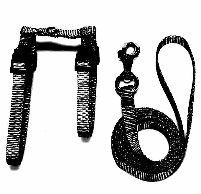 Cat harness with leash black